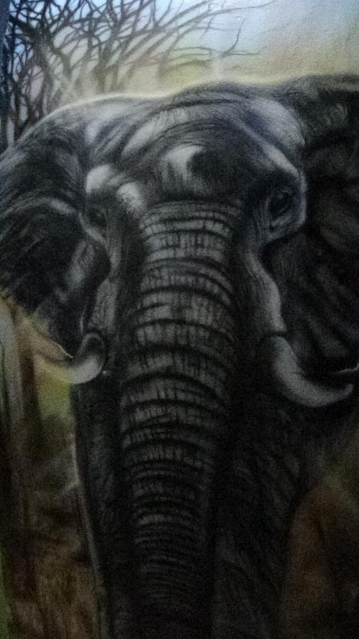 Pousada Encanto E Magia São Tomé das Letras Bagian luar foto